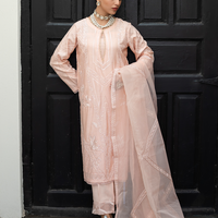 chikankari work dress